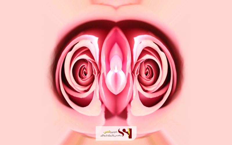 جراحی زیبایی واژن چیست و مزایا و عوارض عمل زیبایی واژن زنان