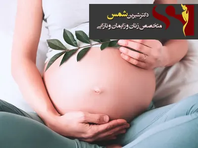 نکات پیش از بارداری