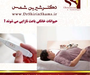 حیوانات خانگی باعث نازایی می شوند ؟