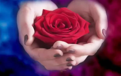 لابیاپلاستی در دختران باکره چگونه انجام می شود؟