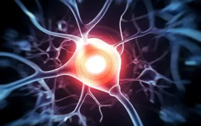 آیا لابیاها عصب دارند؟