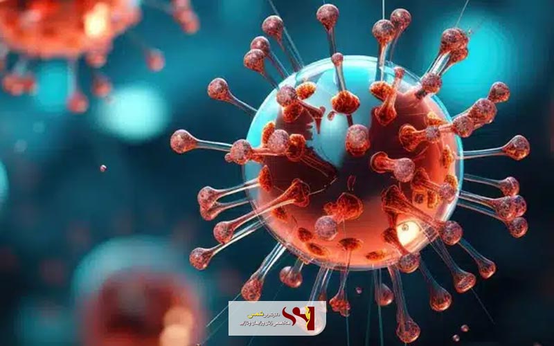 انواع ویروس زگیل تناسلی و HPV در بدن انسان