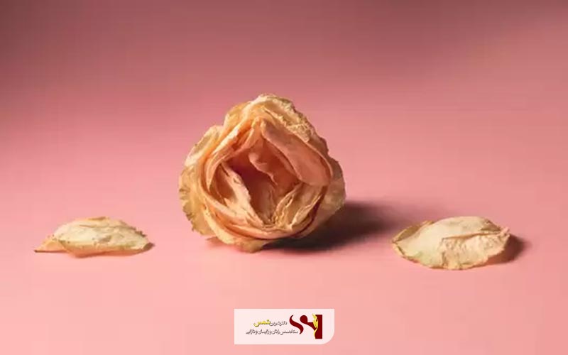 هزینه لابیاپلاستی در سال 1404 به طور دقیق چقدر است و چه عواملی بر آن موثر هستند